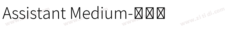 Assistant Medium字体转换